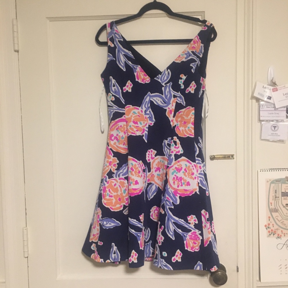 Lilly Pulitzer Clove Navy Pom Pom Dress Size 2